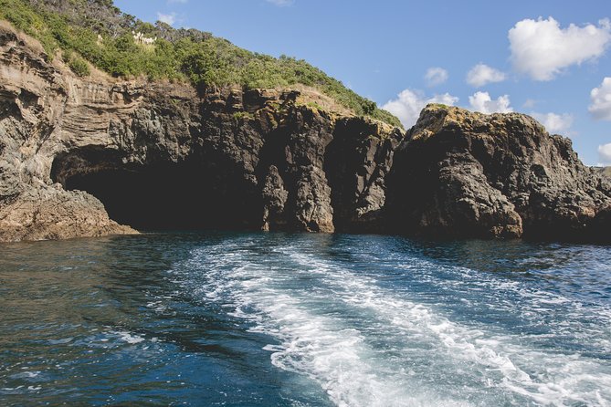 Glass Bottom Boat Tour - Getting to Goat Island from Auckland
