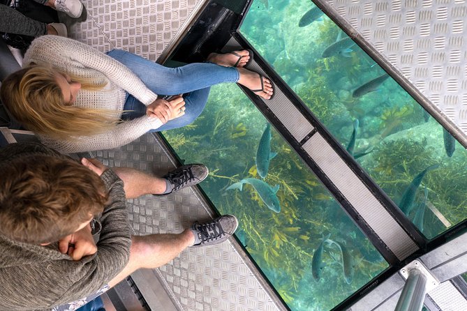 Glass Bottom Boat Whitianga Cathedral Cove Cruise - Key points to know before booking