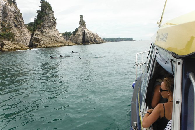 Glass Bottom Boat Whitianga Cathedral Cove Cruise - Two hours from Whitianga Wharf
