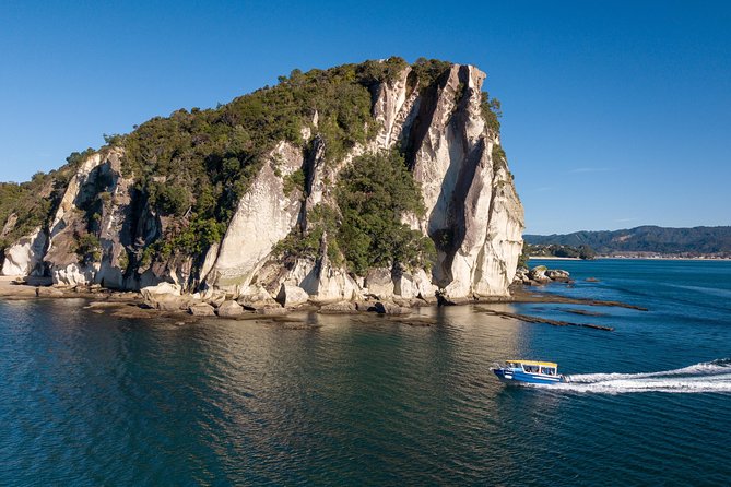 Glass Bottom Boat Whitianga Cathedral Cove Cruise - Who will enjoy this cruise most