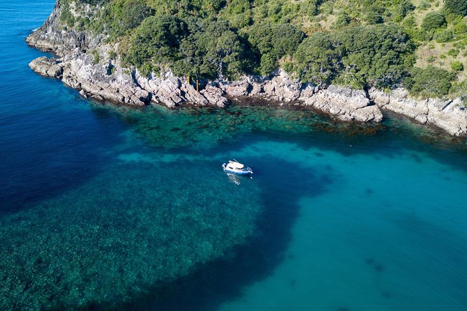Glass Bottom Boat Whitianga Cathedral Cove Cruise - Weather, cancellations, and sensible planning