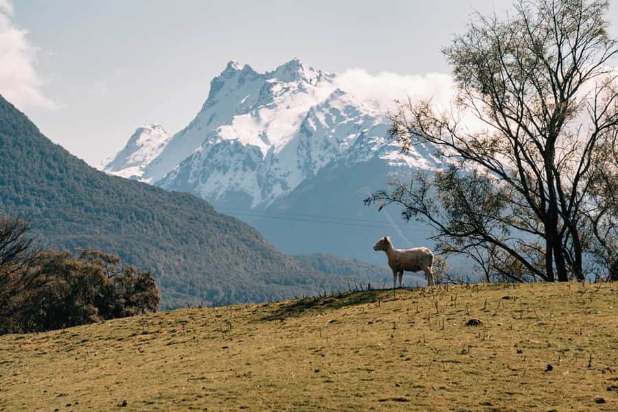 Glenorchy: 4WD Lord Of the Rings Tour Half-Day - 12 Mile Delta and Ithilien Camp