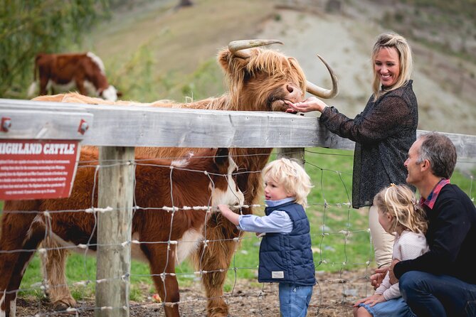 Glenorchy Island Safari, Self-drive option - The return route along Lake Wakatipu
