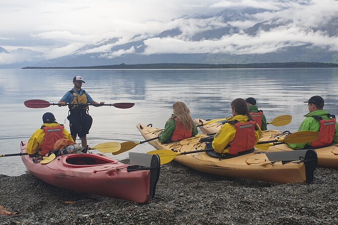 Glenorchy Island Safari, Self-drive option - What the private format adds