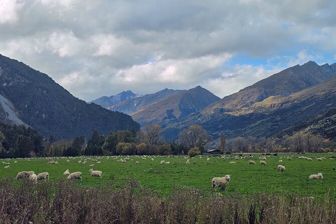 Glenorchy Private Day Trip from Queenstown: TravelnGo - Diamond Lake is a brief stop with a peaceful setting