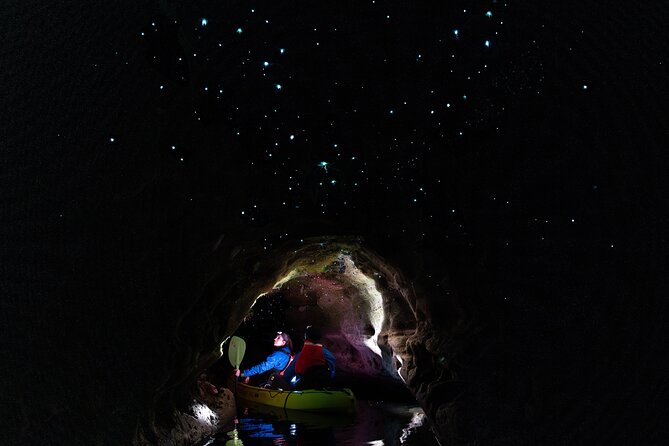 Glow Worm Kayak Tour - Key points to know before you paddle