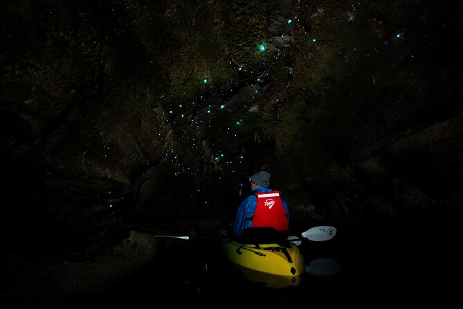 Glow Worm Kayak Tour - From central Rotorua to the lakeshore