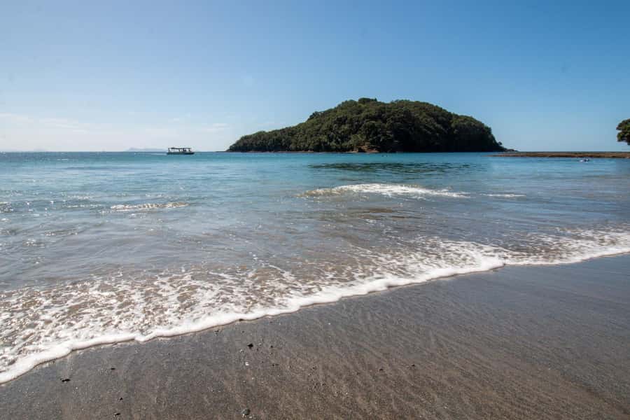 Goat Island: Glass Bottom Boat Tour - Seeing Goat Island without getting in the water