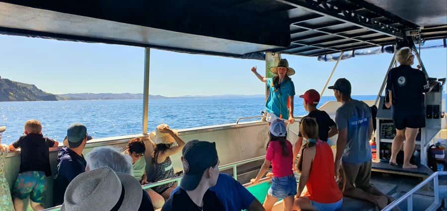 Goat Island: Glass Bottom Boat Tour - What the 45-minute route actually offers