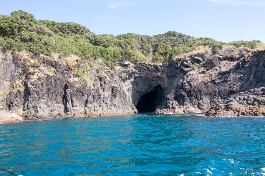 Goat Island: Glass Bottom Boat Tour - Who will enjoy this Goat Island cruise?