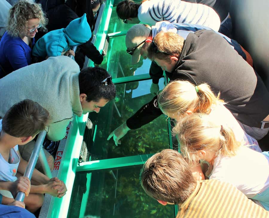 Goat Island: Glass Bottom Boat Tour - Meeting the boat on Goat Island beach