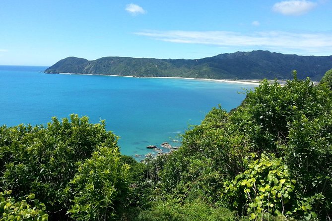 Golden Bay in a Day - Key points to know before you book