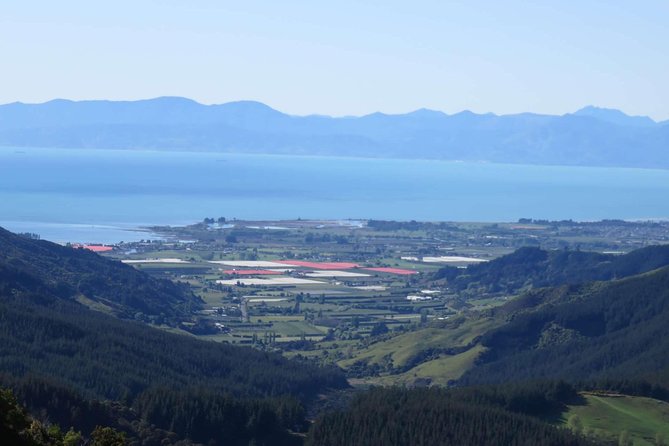 Golden Bay in a Day - Why this is one of Nelson’s best long-day outings