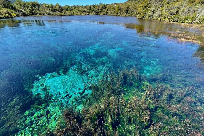 Golden Bay in a Day - Ngarua Cave and the hill’s stranger side