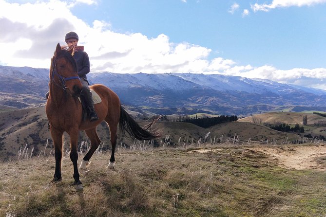 Golden Hills Horse Trek in Central Otago - From Queenstown to Cromwell’s open hills