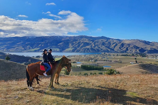 Golden Hills Horse Trek in Central Otago - What families should know