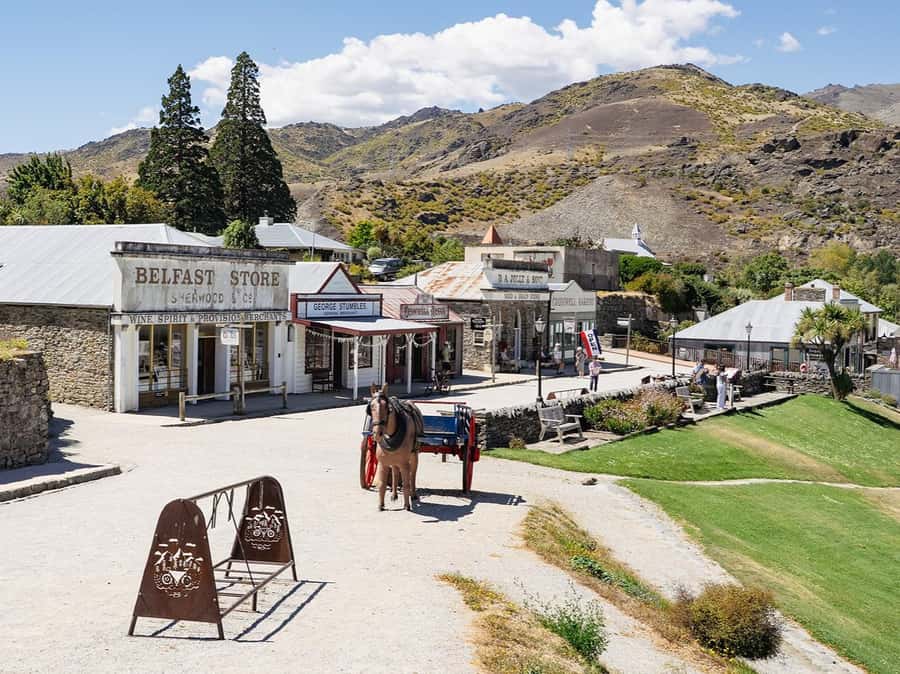 Gourmet Food and Wine Tour with Lunch and Wine Tastings - What the 390-minute schedule feels like