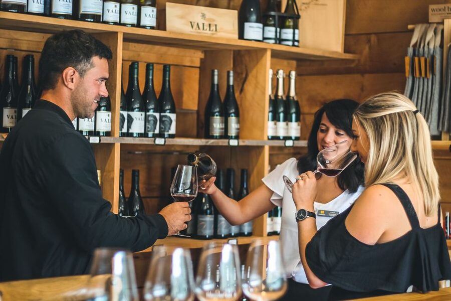 Gourmet Food and Wine Tour with Lunch and Wine Tastings - Small groups, guide quality, and the social side