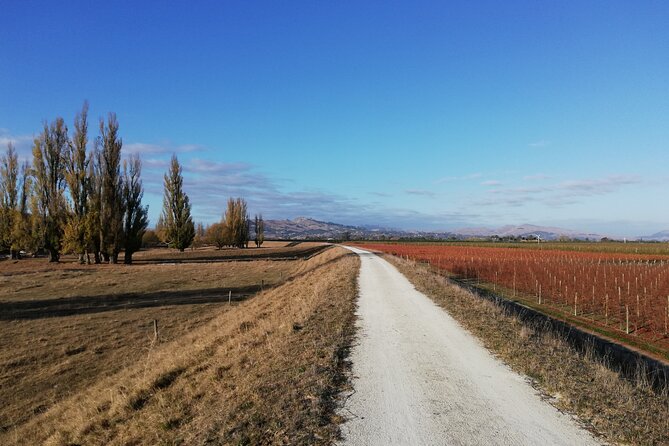 Great Escape Self-Guided Scenic Cycle Winery Tour from Napier - From Napier’s Art Deco streets to the coast