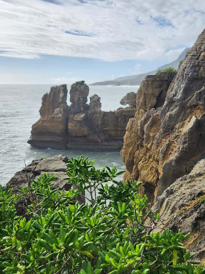 Greymouth: Full-Day Best Of The West Tour - Punakaiki’s Pancake Rocks and blow holes