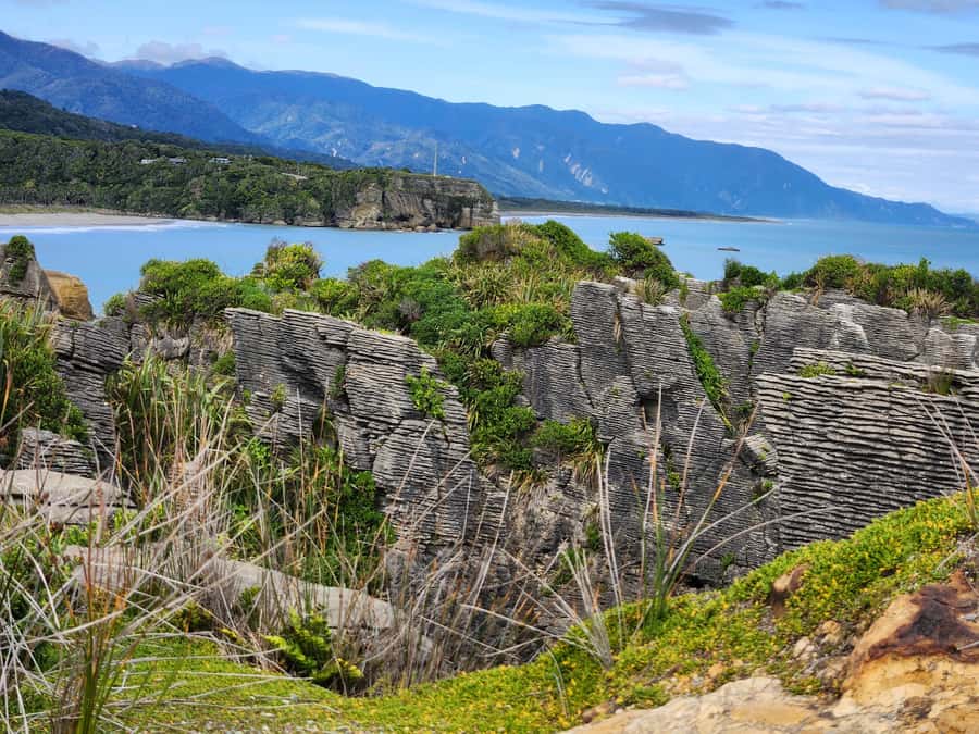 Greymouth: Full-Day Best Of The West Tour - Who should take this tour?