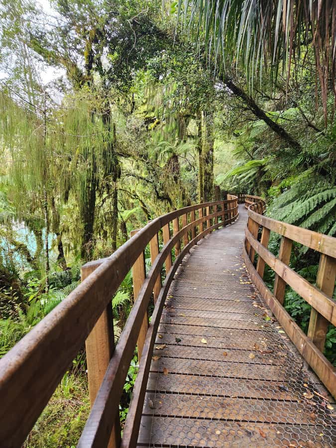 Greymouth: Hokitika Gorge and Tree Top Walkway Half-Day Tour - My Booking Advice