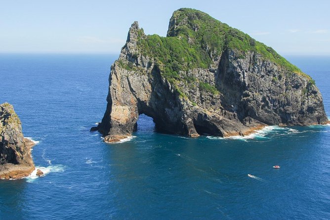 Group tour to Bay of Islands return from Auckland - Looking for Dolphins and Passing the Hole in the Rock
