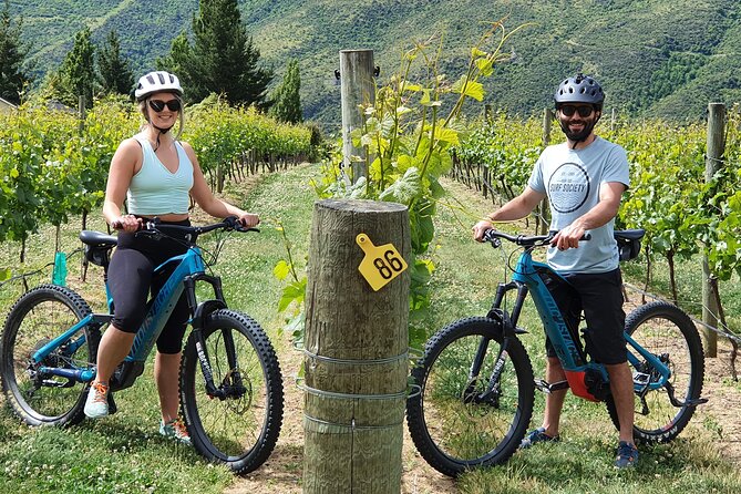 Guided eBike Wine Tour Ride to the Vines - A six-hour ride from Queenstown to Gibbston
