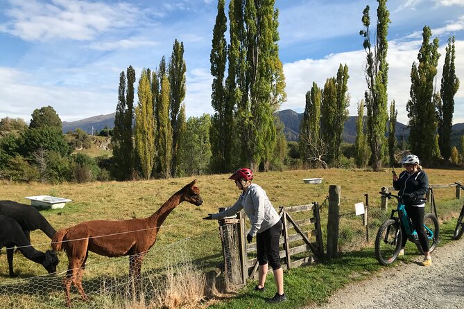 Guided eBike Wine Tour Ride to the Vines - Starting near Arrowtown at Country Lane Retail Village