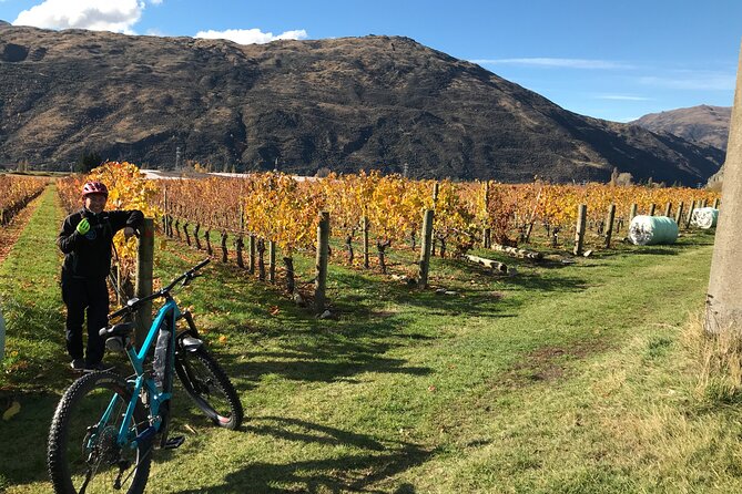 Guided eBike Wine Tour Ride to the Vines - What the $201.69 price includes in practical terms