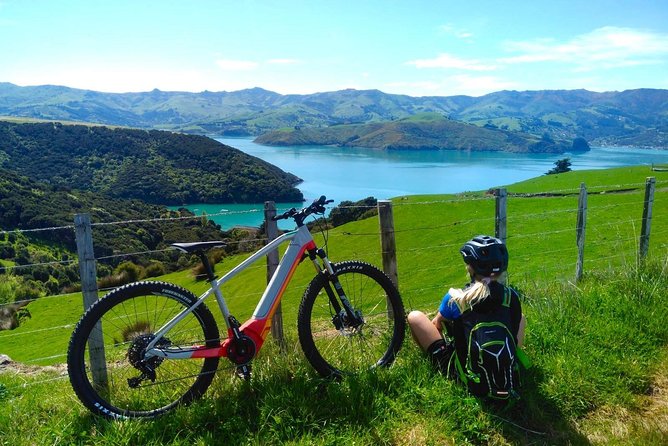 Guided Electric Mountain Bike & Sea Kayak Tour in Akaroa - Wildlife, ecology, and the marine reserve