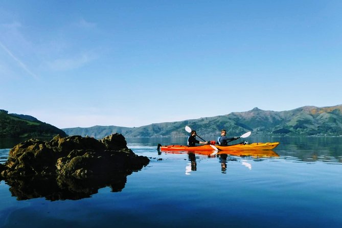 Guided Electric Mountain Bike & Sea Kayak Tour in Akaroa - Snacks, photos, and the value of the package