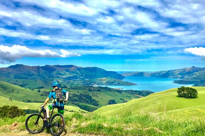 Guided Electric Mountain Bike Tour- Akaroa Explorer - Is $96.19 a fair price?