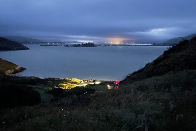Guided Evening Penguin Viewing Otago Peninsula, Dunedin, New Zealand - The 30-minute introduction at Blue Penguins Pukekura