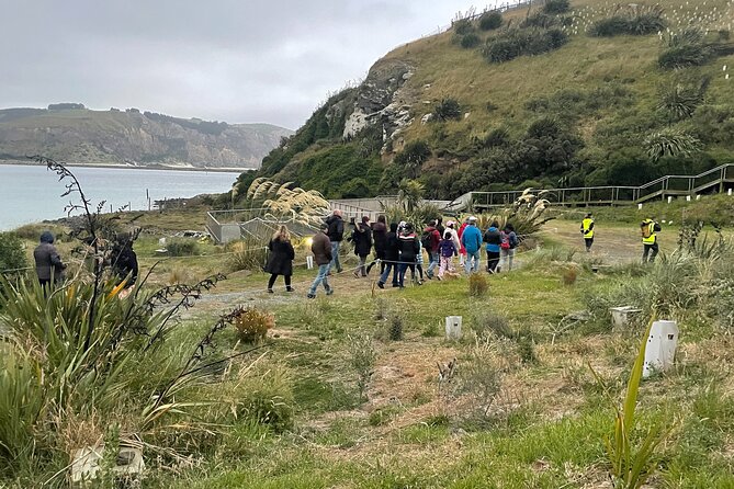 Guided Evening Penguin Viewing Otago Peninsula, Dunedin, New Zealand - Getting there after dark