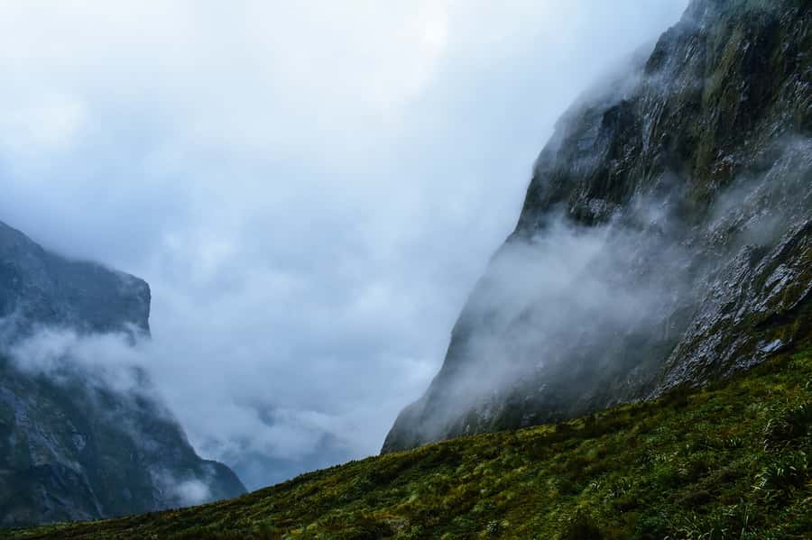 Guided Private Milford Sound Day Tour from Te Anau(Cruise In - Why the private Tesla changes the Milford Sound day