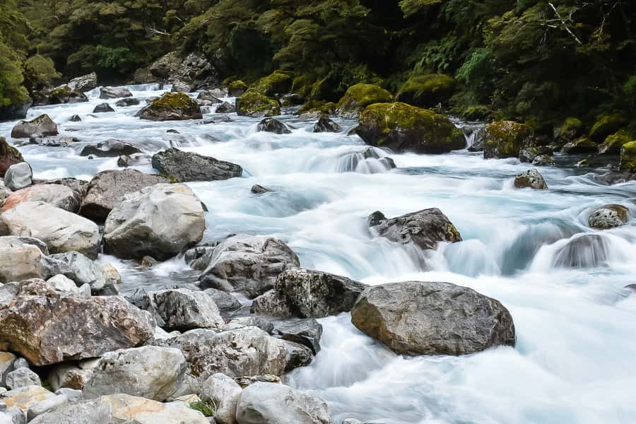 Guided Private Milford Sound Day Tour from Te Anau(Cruise In - Scenic stops make the drive worthwhile
