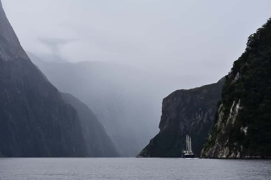 Guided Private Milford Sound Day Tour from Te Anau(Cruise In - Arriving at Milford Sound for the included cruise
