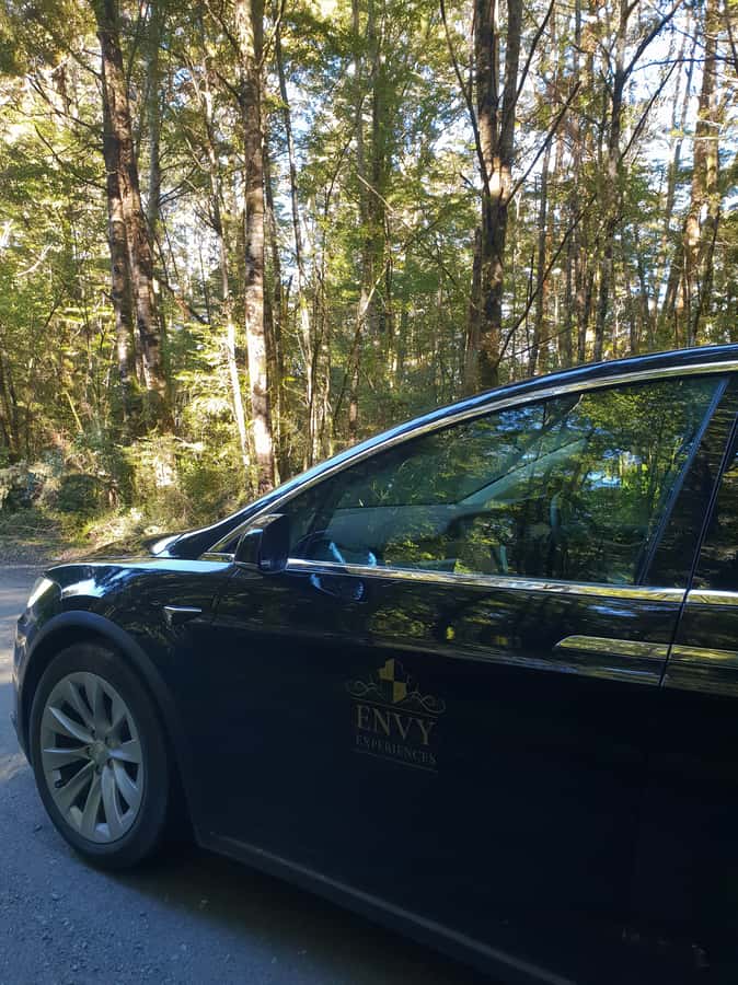 Guided Private Milford Sound Day Tour from Te Anau(Cruise In - What $209 per person really buys you