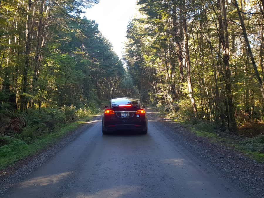 Guided Private Milford Sound Day Tour from Te Anau(Cruise In - What to bring and how to prepare