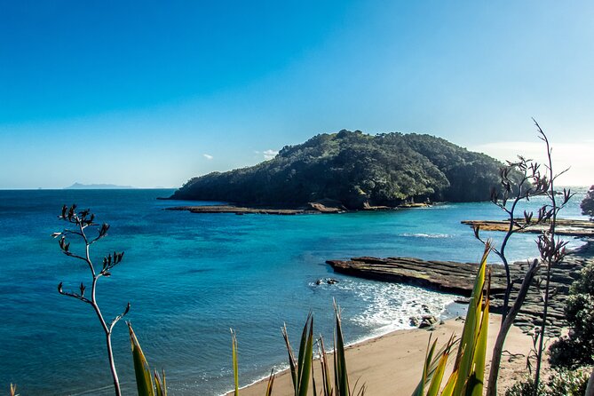 Guided Snorkel Experience, Advanced - The value of keeping your gear all day