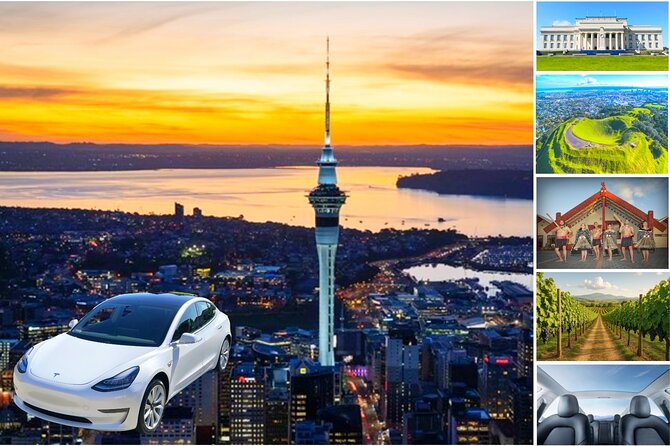 Guided Snorkeling and Island Exploration in Auckland - Who should book this experience
