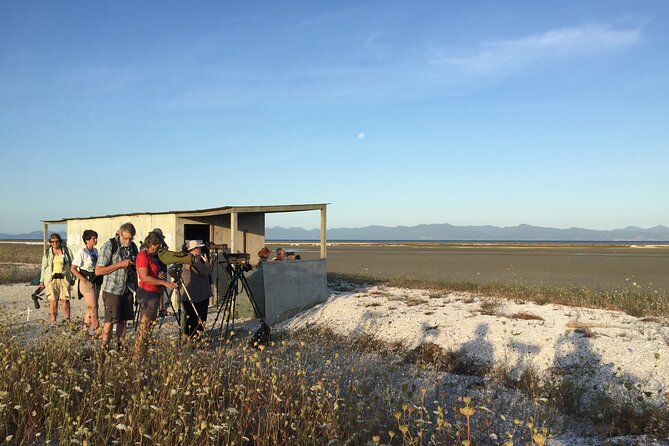 Guided Tour at Pukorokoro Shorebird Centre - Why Pukorokoro is a special place for shorebirds