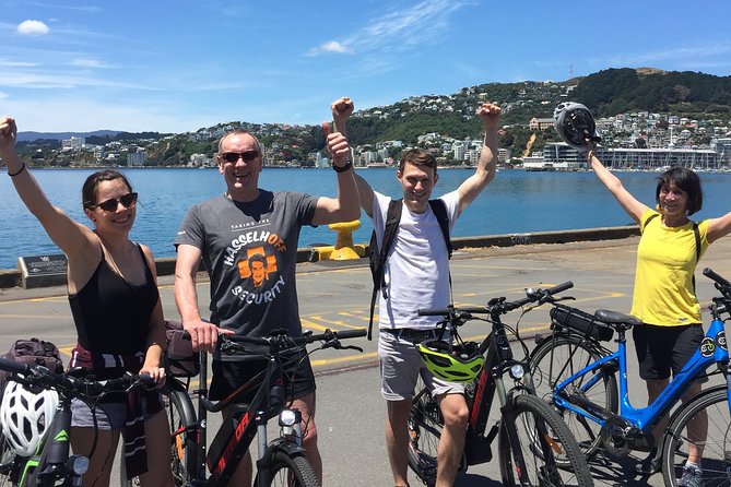 Guided Wellington Tour by Electric Bike - Cruising the Wellington Waterfront