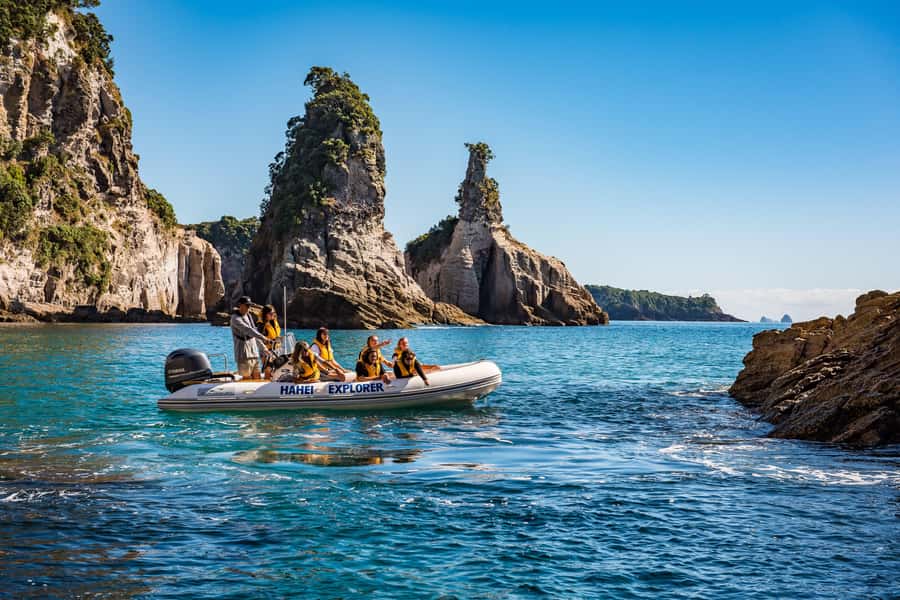Hahei Explorer Cathedral Cove Boat Tour - Marine reserve waters and possible fish sightings