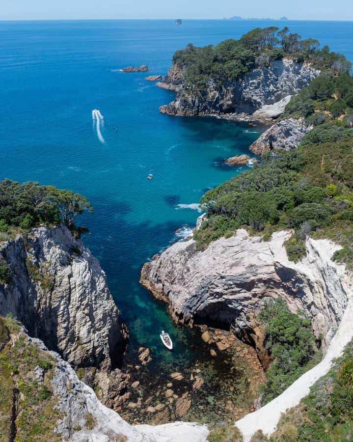 Hahei Explorer Cathedral Cove Boat Tour - Local commentary without a lecture