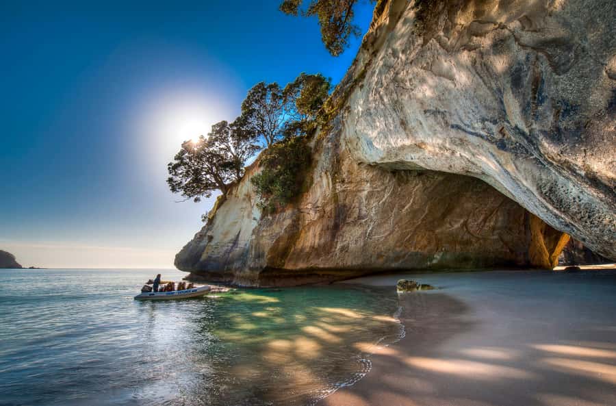 Hahei Explorer Cathedral Cove Boat Tour - Who will enjoy the Hahei Explorer most