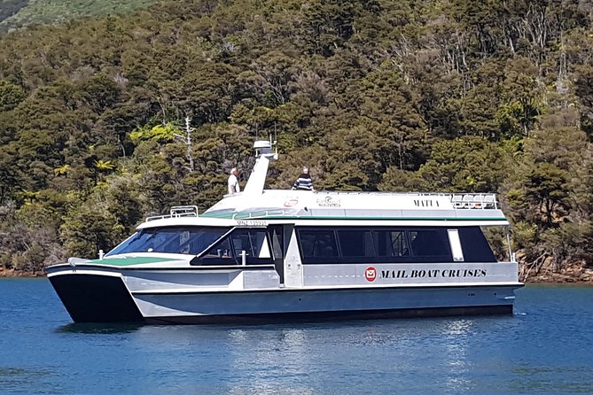 Half-Day Cruise in Marlborough Sounds from Picton - Key points at a glance