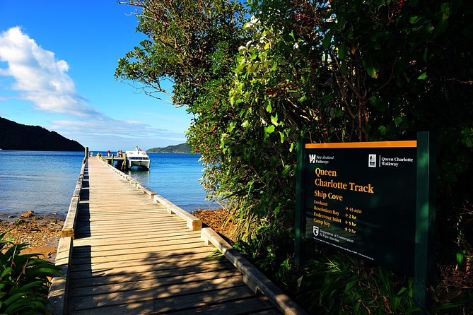 Half-Day Cruise in Marlborough Sounds from Picton - Why Ship Cove makes this cruise worthwhile