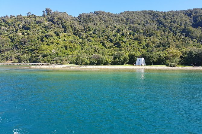 Half-Day Cruise in Marlborough Sounds from Picton - Stepping ashore at Ship Cove